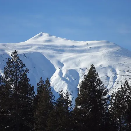 阿特里尔木屋酒店 木屋